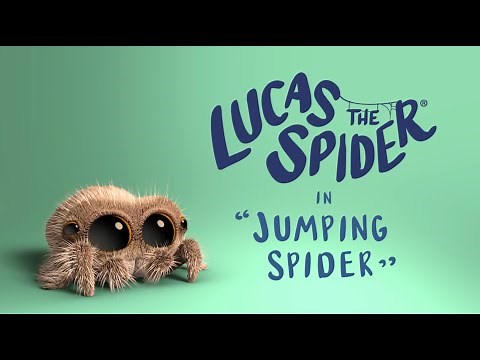 Lucas the Spider - Jumping Spider - Short
