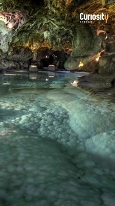 What are you curious about? From Neil Armstrong to David Attenborough to Ancient Engineering, it's all on Curiosity Stream. | Curiosity Stream
