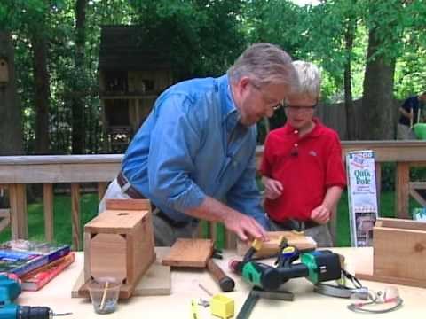 How to Make a Bird Sanctuary in the Backyard