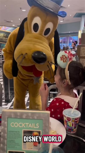 Plan Your Dream Disney Vacation with Dayna