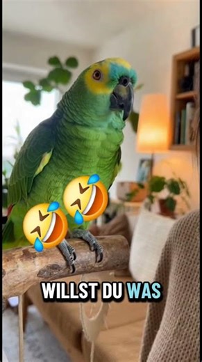 Paul is in a 'particularly' good mood again today... 🦜🙄