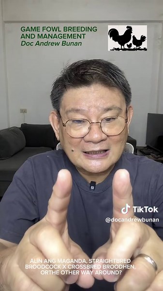 Game Fowl Breeding Techniques Explained