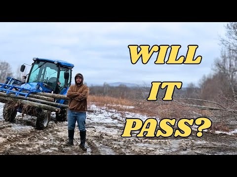 Clearing 32 Acres for the Family Compound (HUGE Milestone)