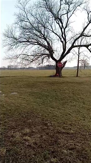 Trying to hit the Stop Sign but also hit my Van