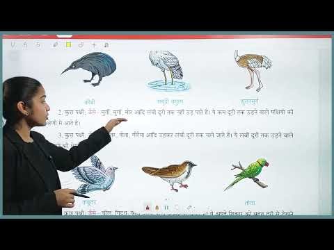 Science Class 3 | Chapter 2 – Easy Explanation