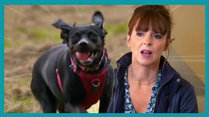 Nellie 'bolts' and runs away on walks having even dashed the 15 minute walk home... off leash! WATCH THE FULL EPISODES now on Discovery (UK) https://bit.ly/3kYUaiO ▶ Get more dog training tips from Victoria Stilwell on her official site: https://positively.com ▶To enroll in Victoria’s dog training courses at the Victoria Stilwell Academy: https://www.vsdogtrainingacademy.com | Me Or The Dog