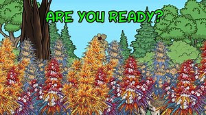 It's Halloween on Pot Farm! Play it now! https://apps.facebook.com/mypotfarm | Pot Farm