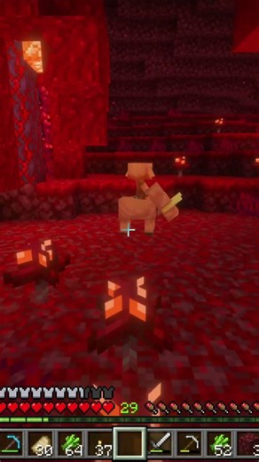 CHILL BRO MINECRAFT NETHER #minecraft #minecraftshorts #games