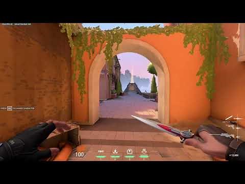 LUXE KNIFE SKIN VALORANT (SHOWCASE)