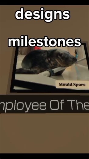 All of Jane Doe's milestones 🤑