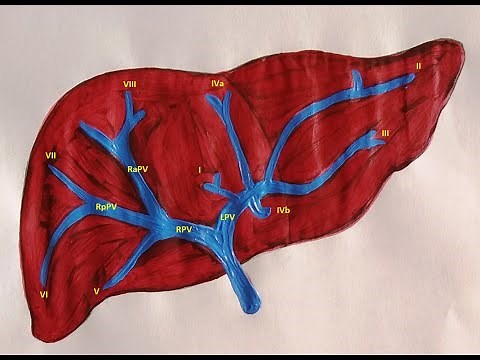 Percutaneous transhepatic portography CPT code - simplify medical coding