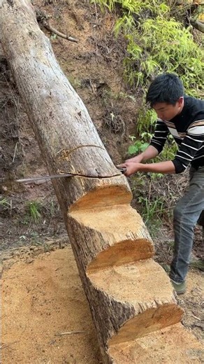 Traditional Craft: Hand-Sawing a Mountain Access Ladder