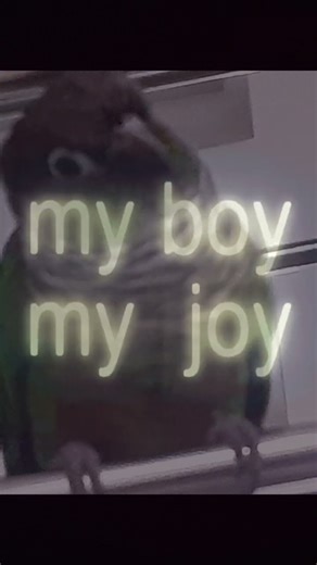 #funny #song #comedy #cocomelon #roblox