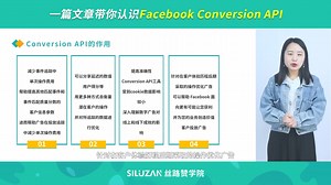 一篇文章带你认识Facebook Conversion API#知识