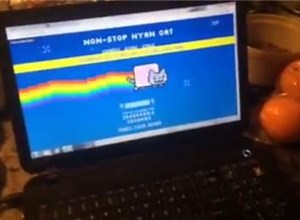 Longest Non-Stop Nyan Cat