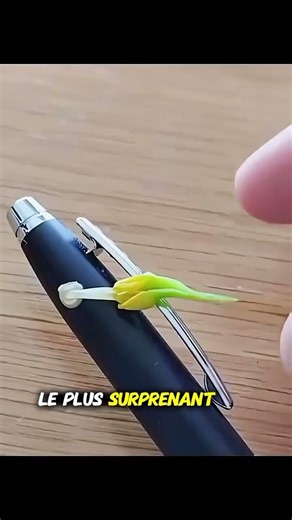 La fleur la plus dangereuse au monde ? 😱#nature #incroyable #science #plantes #youtubeshorts