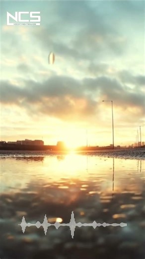 Zeli, Biometrix - Lay Low