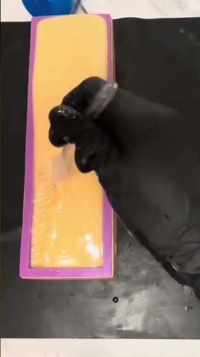 Learn to make soap