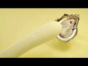 Toycod 立鳥「タトリ」