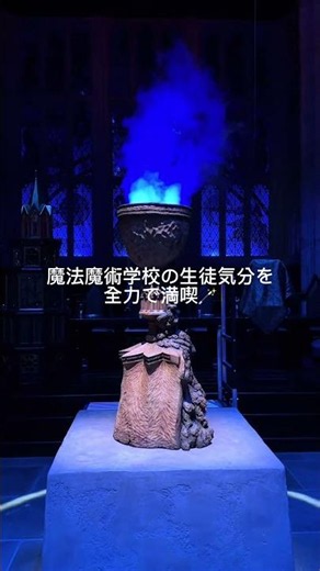 【スタジオツアー東京】念願のホグワーツに入学してきました🪄#スタジオツアー東京 #ハリーポッター #ハリポタ