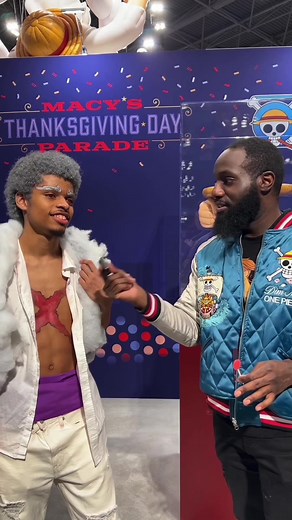 Straw Hat Goofy (@straw_hat_goofy)’s videos with original sound - Straw Hat Goofy