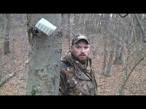 241 7/8 Inch Free Range Illinois Whitetail Archery Hunt