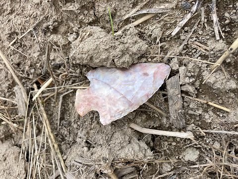 Ohio Arrowhead Hunting June 18, 2022