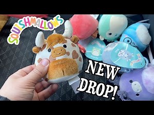 NEW SQUISHMALLOW SQUAD AT LEARNING EXPRESS