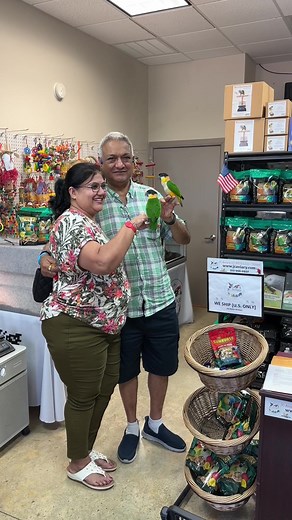 Adorable Black Headed Caiques Off to Their Forever Home