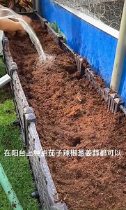 324K views · 500 reactions | Pocket tips for those who are passionate about gardening | Olip | Facebook