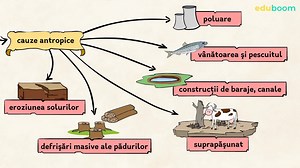 Locul omului şi impactul său asupra mediului. Biologie clasa a 5-a