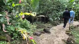 35K views · 4.2K reactions | All I hear is y'all playing chess not checkers. Well I'm playing monopoly purchasing of what is made by God not by man. | James Prince | Facebook