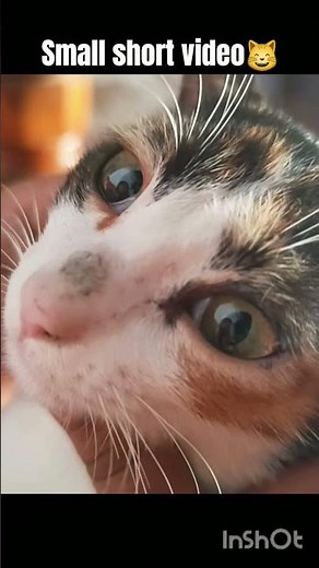 please subscribe. this content create's very hard time - 1 hour 30 minutes.😊