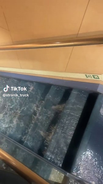 🇪🇺StraniK_🇧🇾 (@stranik_truck)s videor med My Heart Will Go On (Love Theme from
