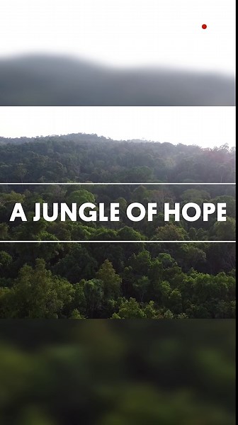 Tiger conservation in Thailand sparks new hope