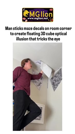 bio life 🧬 on Instagram: "#mglion #csmediain n a mind-bending viral video that's captivating art and illusion enthusiasts worldwide, a creative DIY artist transforms an ordinary room corner into a stunning optical illusion using simple wall stickers. The footage, filmed in a cozy home setting, shows the young man carefully peeling and applying gray-toned decals featuring intricate maze-like cubic patterns to the walls and ceiling. Step by step, he aligns the pieces—starting from the lower secti