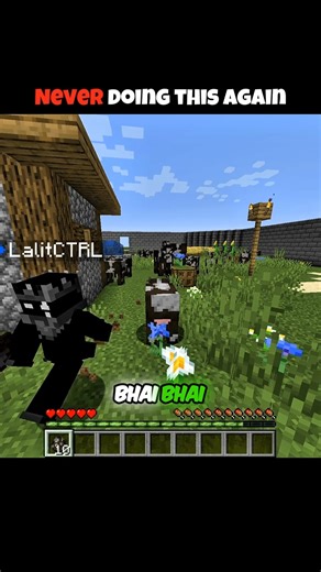 Never Doing That Again 😭 || Zykrover & @BravoLalitOfficial #minecraft