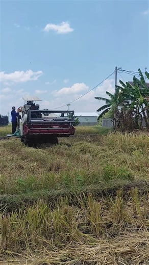 How to Operate a Combine Harvester Safely and Effectively #viral #farming #shortvideo #fyp #farmer