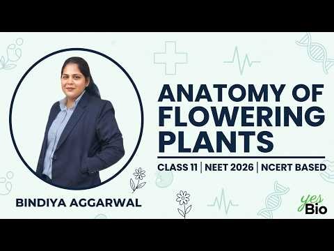 Anatomy of Flowering Plants One Shot | NEET 2026 | Full NCERT Revision