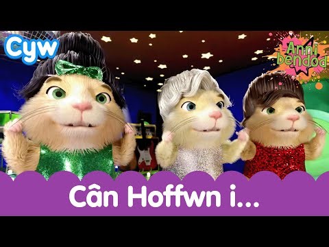 🐹 Cân Hoffwn i... Annibendod 🎤 | Bochau the cute Hamster sings about his wishes in Welsh!