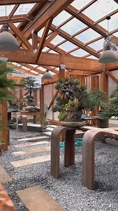 Mirai Greenhouse Tips: • Air movement is everything! • Measure temps at bench height (36-42 °F for dormancy | 42 °F for growth) • Always check water! A thriving bonsai begins with the perfect environment. For more expert care tips, start your free week trial on Mirai Mobile today! . . . . . #bonsai #bonsaitrees #bonsaigarden #bonsaigreenhouse #greenhouse #greenhousearchitecture | Bonsai Mirai