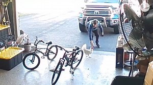 Amazon delivery ends in game of chicken with a real chicken