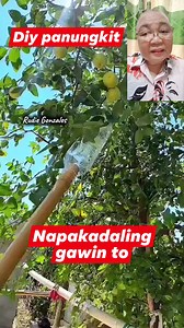 Panungkit ng prutas #diy #tips #diyideas #creative #DIYTools #creativeideas #creativity #ideas #innovation #recycle #panungkit #fruits #fruitlover#reelsvideoシ #reelsviralシ #reelsfbシ #reelstrending #reelsfacebook | Rudie Gonzales