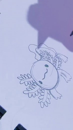 Aprende a dibujar una pata de gato paso a paso