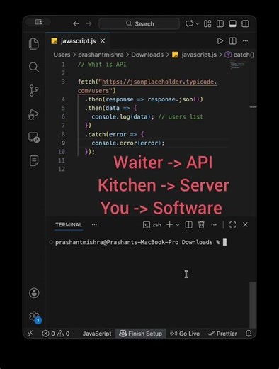 What is API | Javascript Interview Question #API #WebDevelopment #CodingShorts #JavaScript