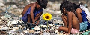 "Ilha das Flores": o que você precisa saber sobre o documentário icônico - Instituto Humanitas Unisinos - IHU