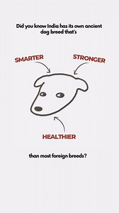 16K views · 13 reactions | Reposted from @puprazyindia - Meet the...