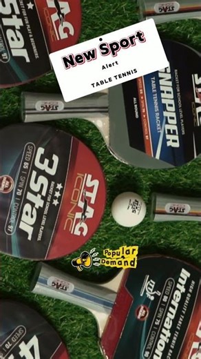 Ready to Dominate the Table? Best Stag Table Tennis Rackets 🏓