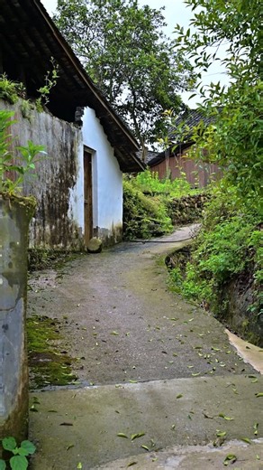 Zhou on Instagram: "PART 3__ This was the first time I'd ever eaten so many crayfish. Dongmao and I were fighting over them. I don't even know whose family raised them, but Tian's crayfish belonged to Lao Mo's family. #gift #creative #ruralguy #liondance #liondancing #rurallive #craft #handmade #art #chinesculture #hnadmadewithlove #crafts #cricut #foodie #foodporn #instafood #foodphotography #dinner #healthyfood #testy #fyp #chinesecuisine #craftersofinstagram #diycrafts #giftsideas"