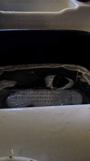 115K views · 1.1K reactions | Mitchell Cowen on Reels | Facebook